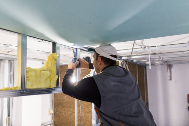Best Cellulose Insulation in Deer Park, NY
